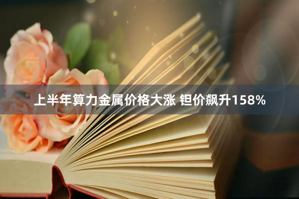 上半年算力金属价格大涨 钽价飙升158%