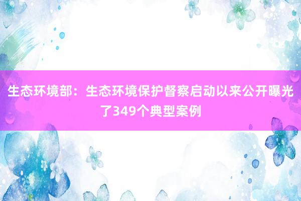 生态环境部：生态环境保护督察启动以来公开曝光了349个典型案例