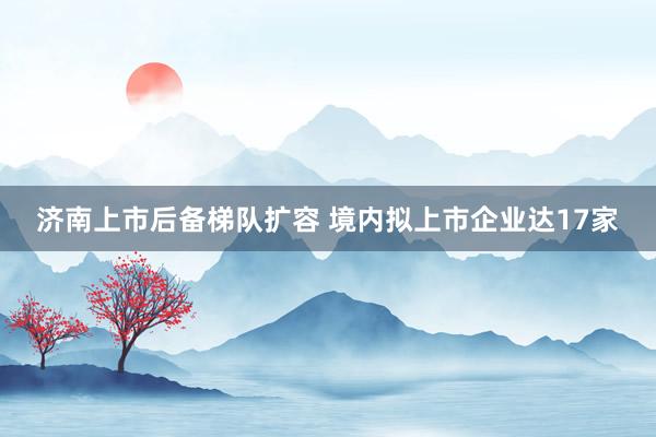 济南上市后备梯队扩容 境内拟上市企业达17家
