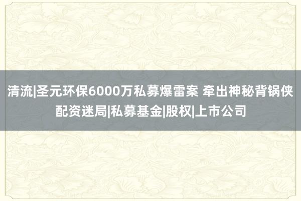 清流|圣元环保6000万私募爆雷案 牵出神秘背锅侠配资迷局|私募基金|股权|上市公司