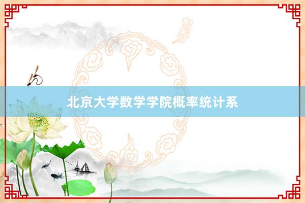 北京大学数学学院概率统计系