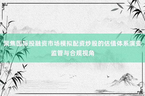 聚焦国际投融资市场模拟配资炒股的估值体系演变监管与合规视角