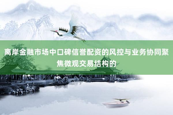 离岸金融市场中口碑信誉配资的风控与业务协同聚焦微观交易结构的