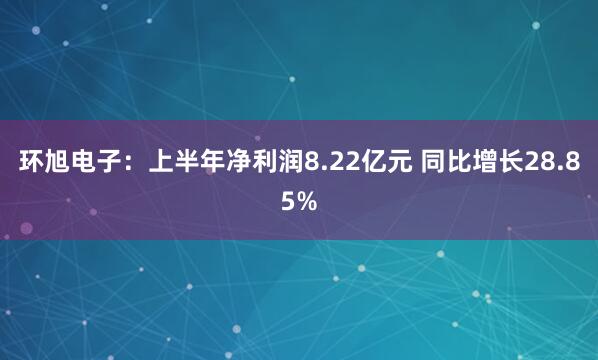 环旭电子:上半年净利润8.22亿元 同比增长28.85%