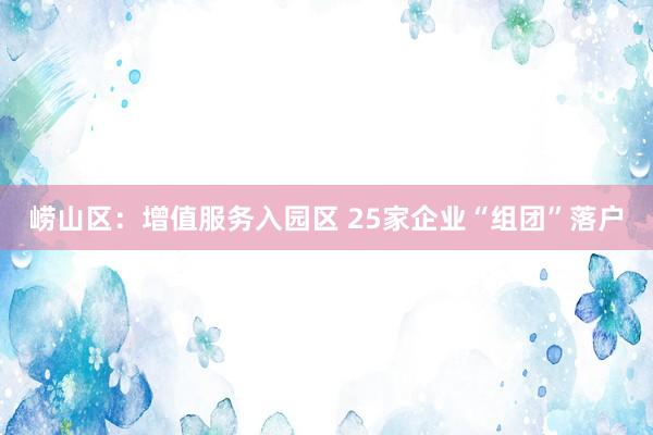 崂山区：增值服务入园区 25家企业“组团”落户