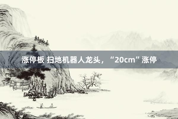 涨停板 扫地机器人龙头,“20cm”涨停