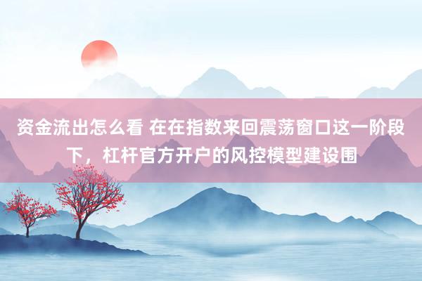 资金流出怎么看 在在指数来回震荡窗口这一阶段下，杠杆官方开户的风控模型建设围