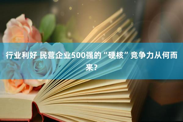 行业利好 民营企业500强的“硬核”竞争力从何而来？
