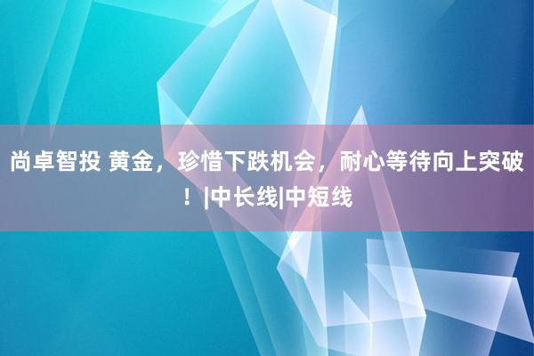 尚卓智投 黄金，珍惜下跌机会，耐心等待向上突破！|中长线|中短线