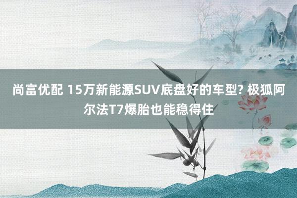 尚富优配 15万新能源SUV底盘好的车型? 极狐阿尔法T7爆胎也能稳得住