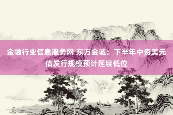 金融行业信息服务网 东方金诚：下半年中资美元债发行规模预计延续低位