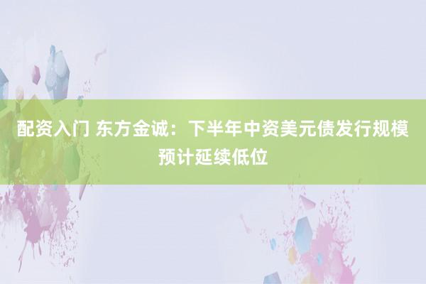 配资入门 东方金诚：下半年中资美元债发行规模预计延续低位