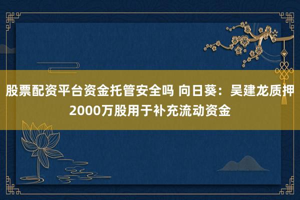 股票配资平台资金托管安全吗 向日葵:吴建龙质押2000万股用于补充流动资金