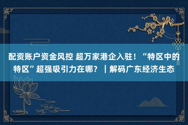 配资账户资金风控 超万家港企入驻!“特区中的特区”超强吸引力在哪?|解码广东经济生态
