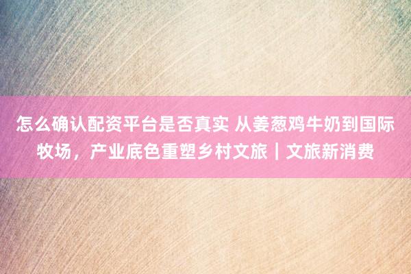 怎么确认配资平台是否真实 从姜葱鸡牛奶到国际牧场，产业底色重塑乡村文旅｜文旅新消费
