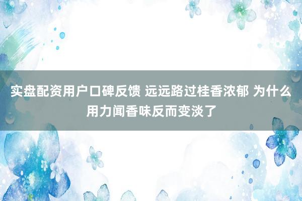 实盘配资用户口碑反馈 远远路过桂香浓郁 为什么用力闻香味反而变淡了
